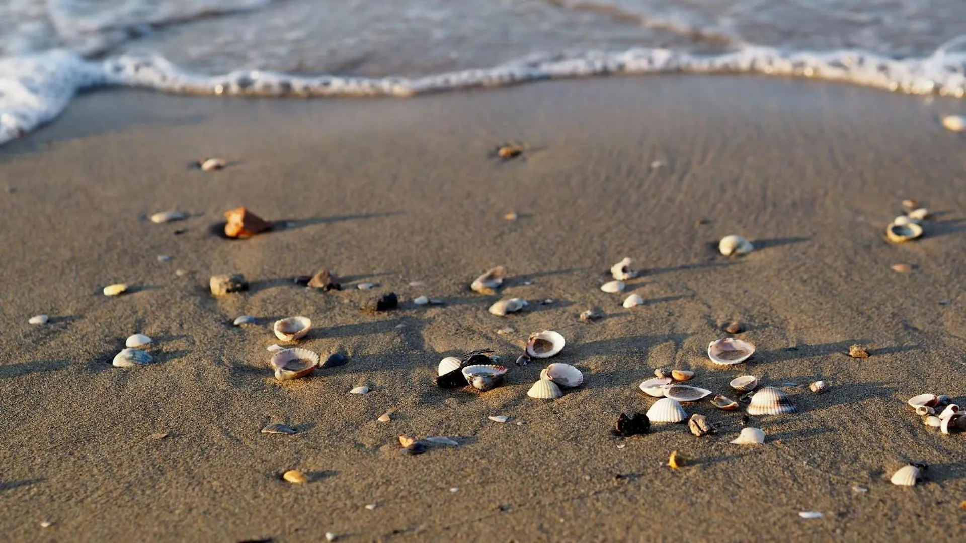 Bright Escape 250M From The Sea Apartment Bibione Italy